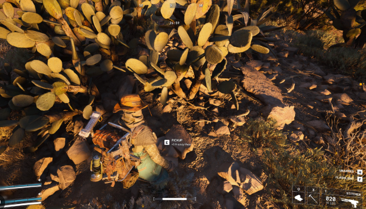 where to find prickly pear arc raiders
